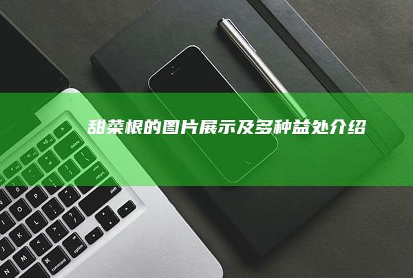 甜菜根的图片展示及多种益处介绍